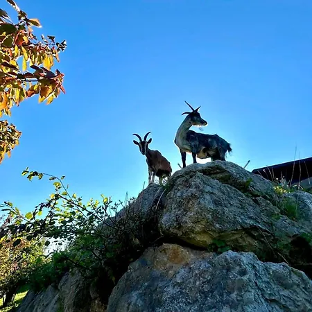 Oberfuchs Lehen (Styria)